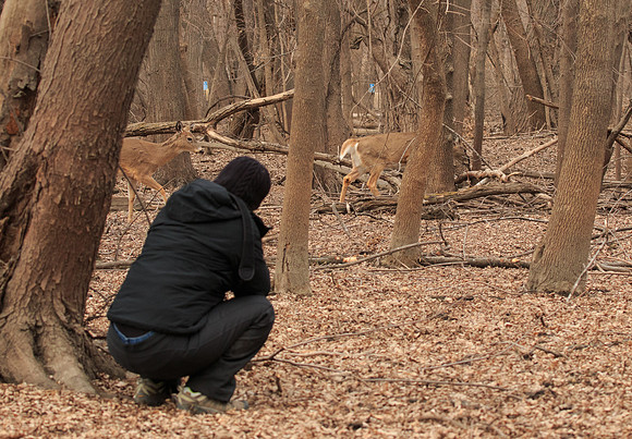 Capturing deer on the Move