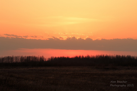 Sunset from the Lek