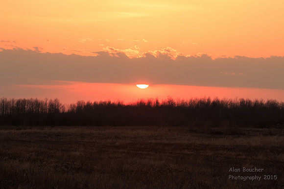 Sunset from the Lek