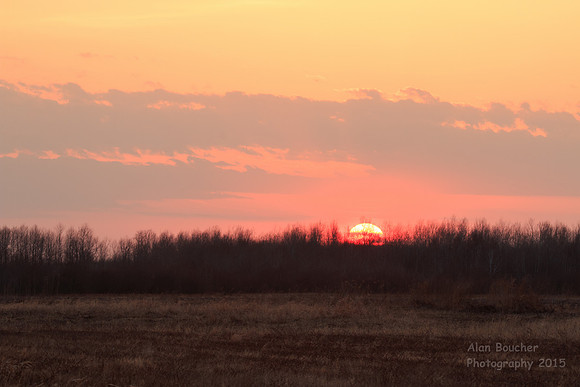 Sunset from the Lek