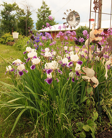 Island Flowers