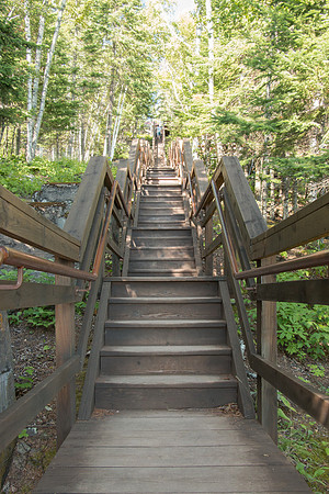 175 Steps...