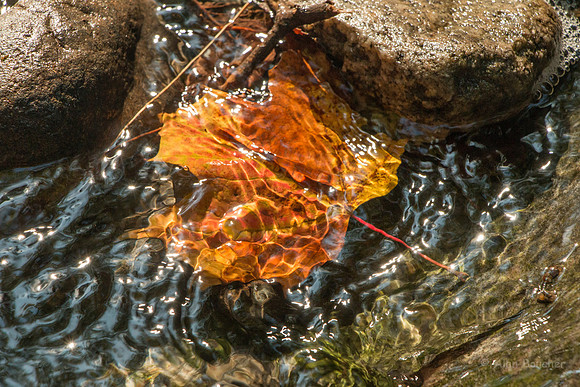 Wading Fall