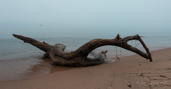 Foggy Sunrise