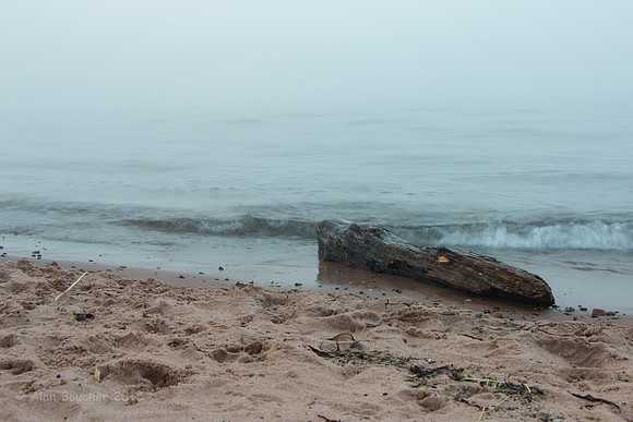 Lonely Log