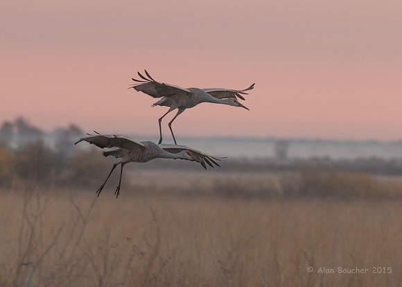 Landing Gear Down
