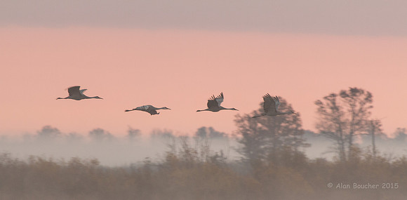 Evading the Fog