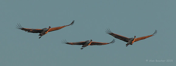 Three Wise Sandhills