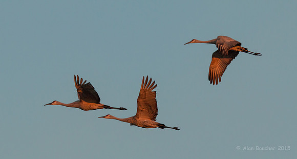 Three Wise Sandhills