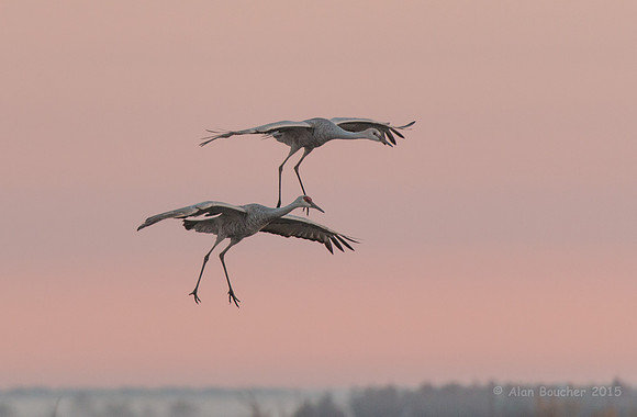Landing Gear Down