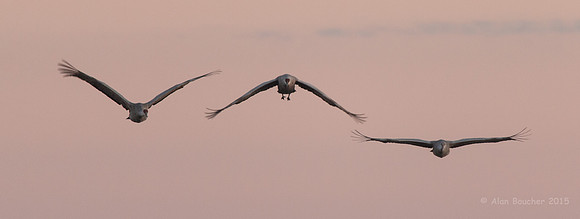 Incoming!
