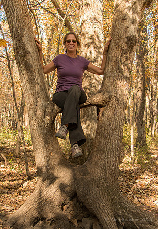 Modeling the Grown-in Tree Seat