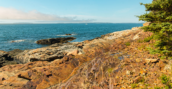 Otter Cliff
