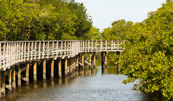 Foot Bridge