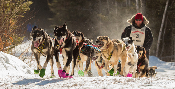John Beargrease Sled Dog Marathon
