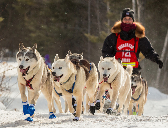 John Beargrease Sled Dog Marathon