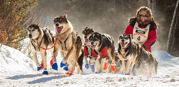 John Beargrease Sled Dog Marathon