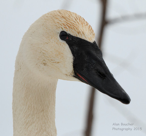 Here's lookin' at you kid