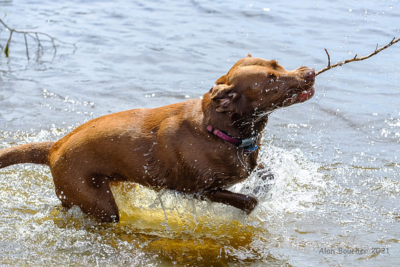 Splish Splash!