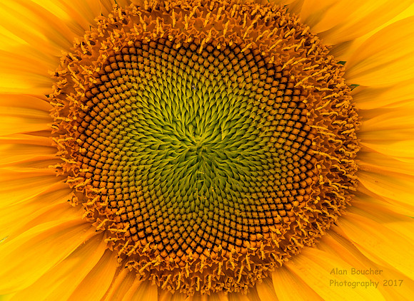 Centered