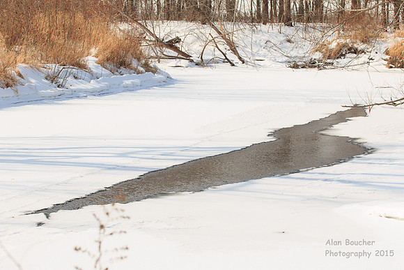 Open Water on the Vermillion River