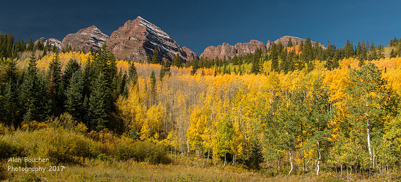 Aspens and the Bells
