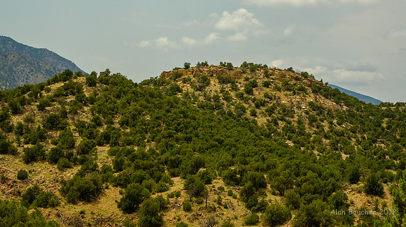 Rolling Mountains