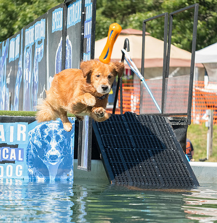 Dock Dog