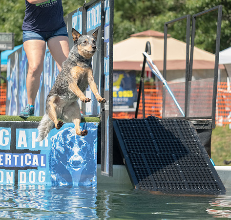 Dock Dog