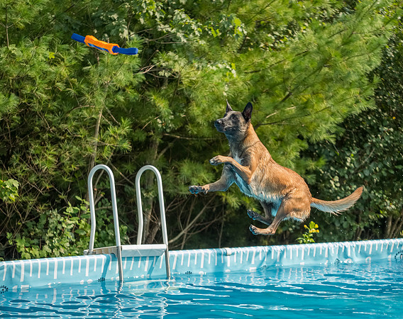 Flying by the Trees