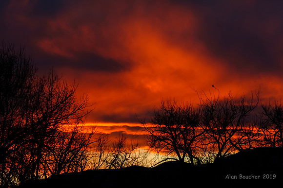 Fiery Sunset