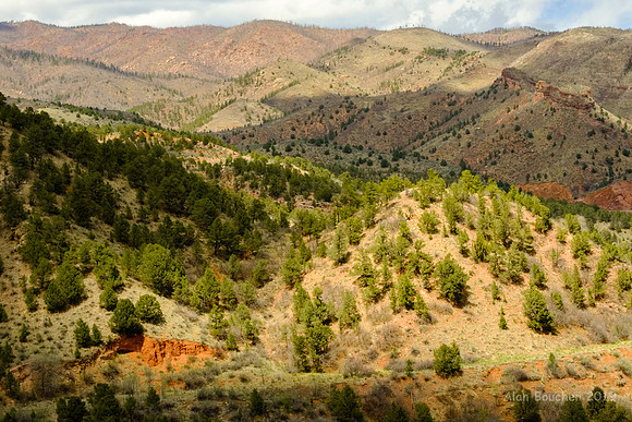 View from Red Mountain