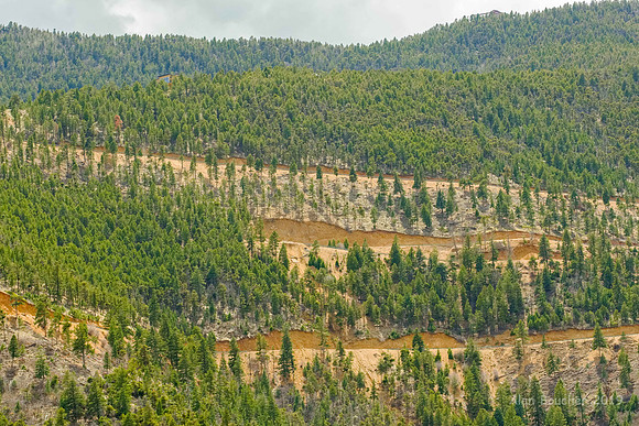 View from Red Mountain