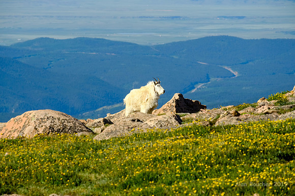 Moving up the Mountain