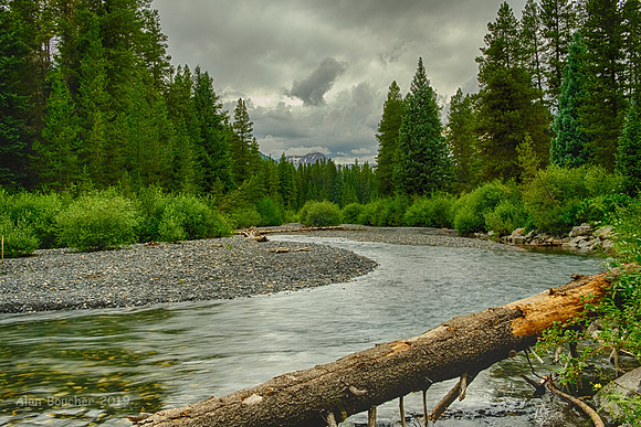 Campsite View
