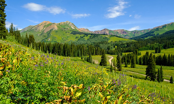 Washington Gulch Trail