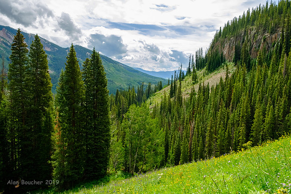 Washington Gulch Trail