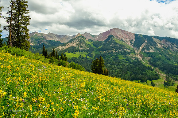 Washington Gulch Trail
