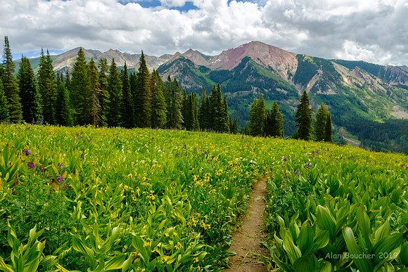 Washington Gulch Trail