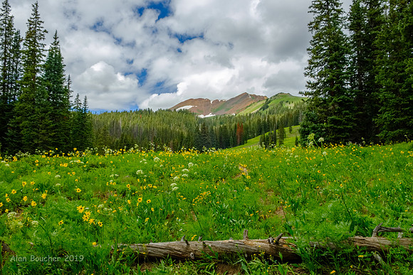Washington Gulch Trail