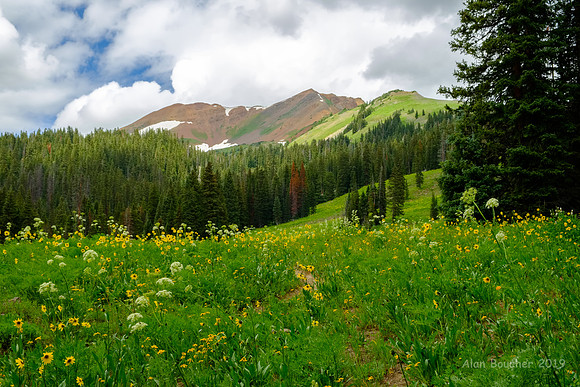 Washington Gulch Trail