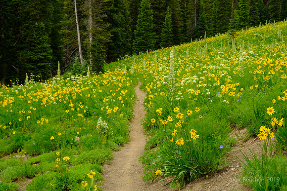 Washington Gulch Trail