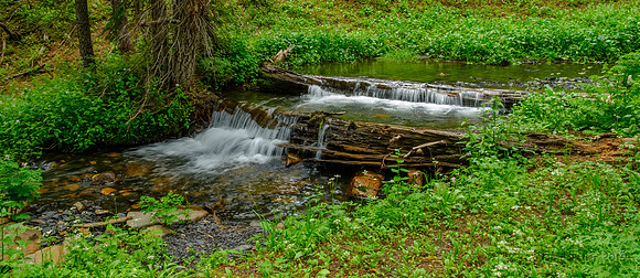 Washington Gulch Trail