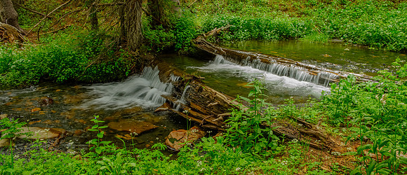 Washington Gulch Trail