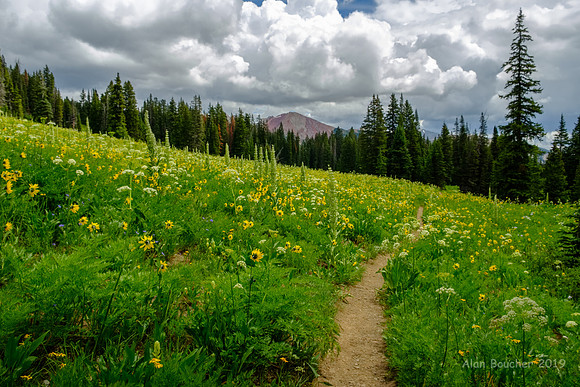 Washington Gulch Trail
