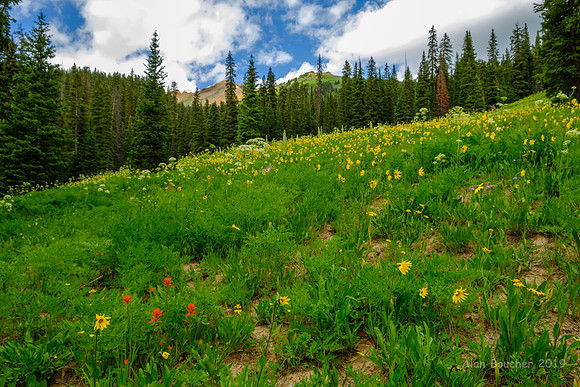 Washington Gulch Trail
