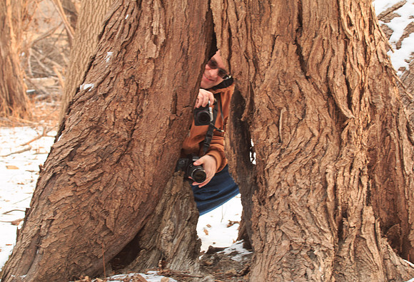 Dan Photographing the Crack in a Tree