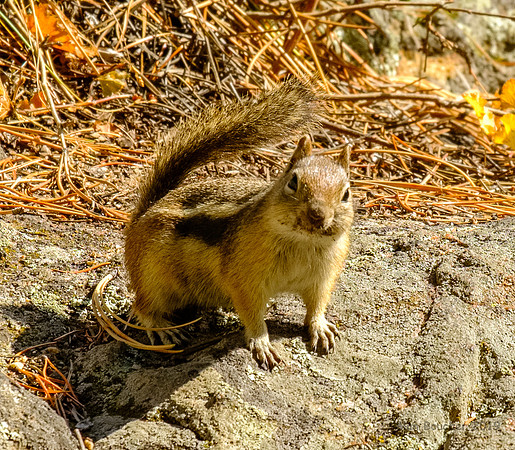 Got food for me?