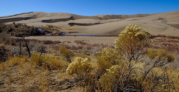 The Dunes
