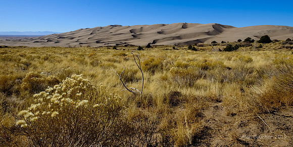The Dunes